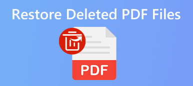 Recover Deleted PDF Files