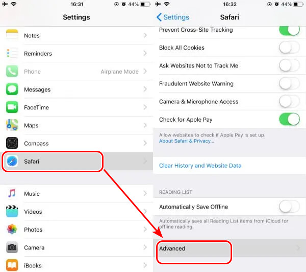 Safari Advanced Settings