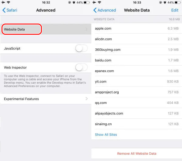 Safari Advanced Settings