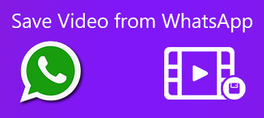 Save Video from WhatsApp