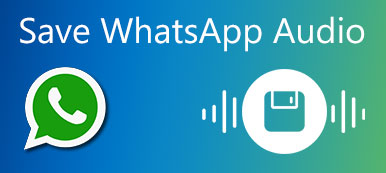 Save WhatsApp Audio