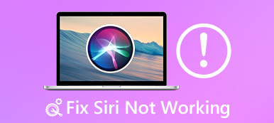 Siri Not Working