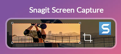 Snagit Screen Capture