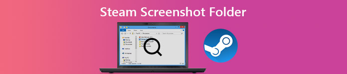 Steam Screenshot Folder