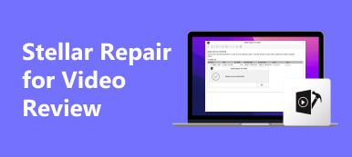 Stellar Repair For Video Review