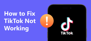 TikTok Not Working