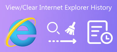 View Clear Internet Explorer History