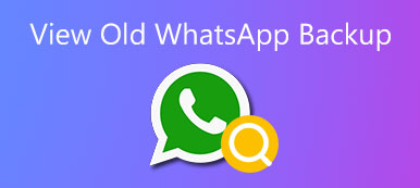 View Old WhatsApp Backup