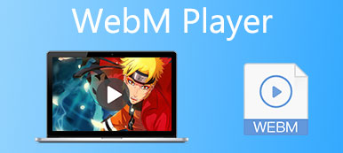 WebM Player