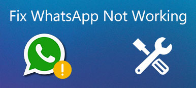 WhatsApp Not Working