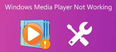 Windows Media Player Not Working