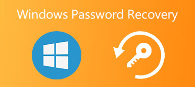 Windows Password Recovery