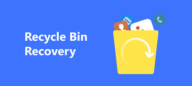 Recycle Bin Recovery