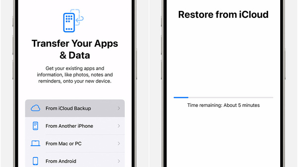 Restore From Icloud