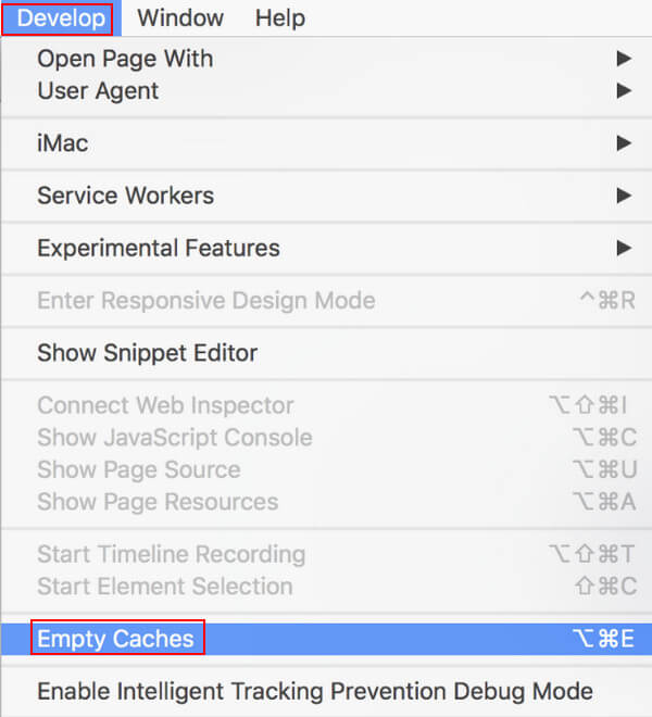 Safari Develop Empty Caches