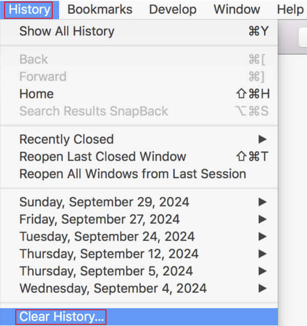 Safari History Clear