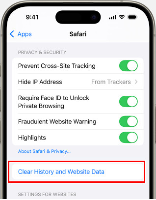 Delete Google Search History Safari App