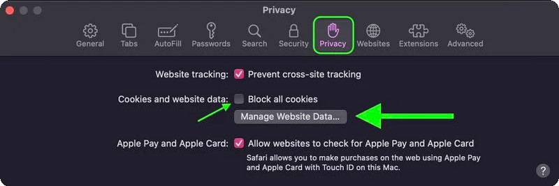 Privacy Manage Website Data Mac