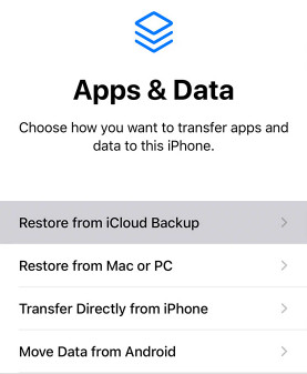 Restore From Icloud Backup