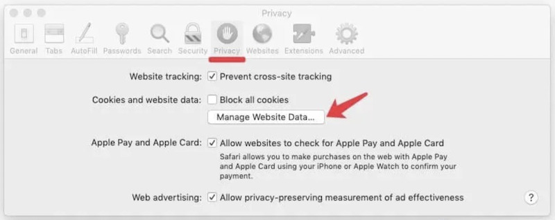 Safari Manage Website Data