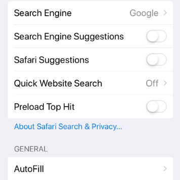 Turn Off Safari Suggestions