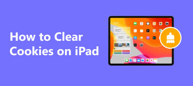 How To Clear Cookies On Ipad S