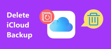 Delete Icloud Backup