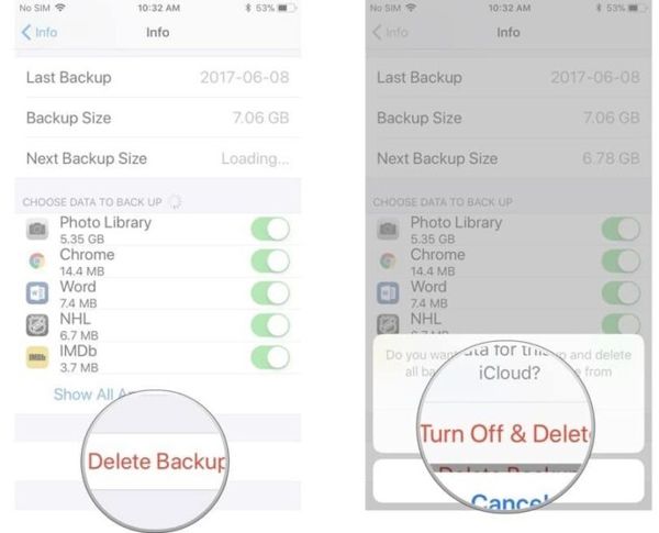 Delete Icloud Backups