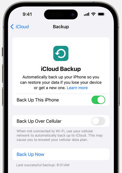 Icloud Backup