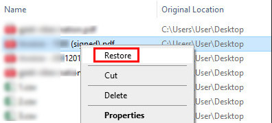 Windows Restore Recycle Bin