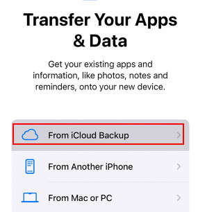 From iCloud Backup