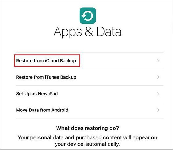 iPad Restore From iCloud Backup